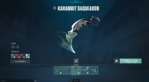 Conta Valorant Fa Com Varias Skin Mais D 1K Gasto Na Conta