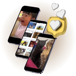 Cortes De Vídeos Virais Milionarios - Others