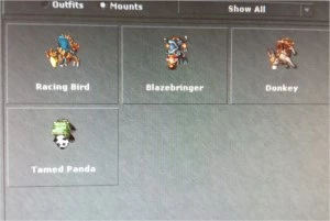 MS 406 BELOBRA - (BELOBRA ) - FULL ACESSOS (CHAR LOVER) - Tibia