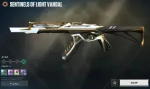 Conta Valorant Skins Tryhard