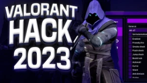 Valorant Hack Esp