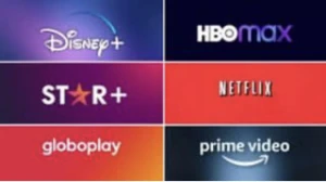 Netflix/prime vídeo/Max /Disney - Outros