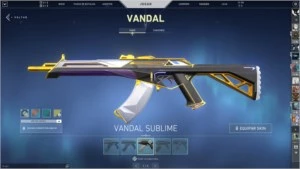 VENDO CONTA DE VALORANT !
