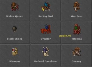 400 MS PVP BR (CHAR LOVE) - Tibia