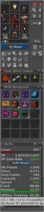 400 MS PVP BR (CHAR LOVE) - Tibia