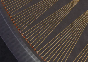 Conta Abion upada na raça - Albion Online