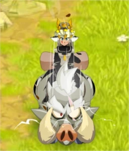 Huppermago lvl 200 full e com itens tops - Dofus