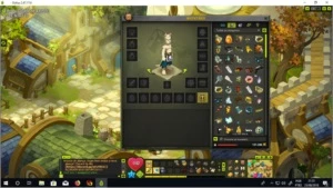 5 contas  + 100mk em itens + 50mk de recursos - Dofus
