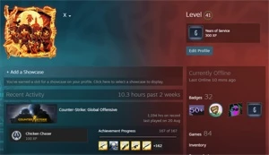 STEAM CS:GO PRIME OURO 1, VARIOS JOGOS E LEVEL 40