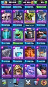 CLASH ROYALE LV14