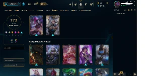 Conta League Of Legends, Ouro, Lvl 467 Com Várias Skins LOL