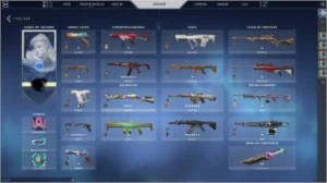 Conta de Valorant com 600 Reais em skins