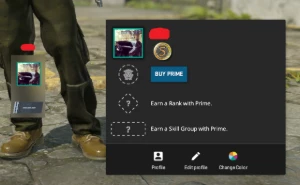 Conta Cs2 com medalha de 5 anos / lvl 11 GC