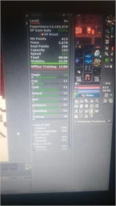 MASTER SORCERER LVL 94 SERDEBRA - Tibia