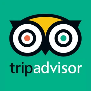 ✅Avaliações Tripadvisor 5 Estrelas - Tripadvisor Qualidade✅ - Outros