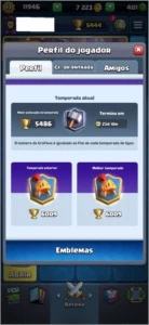 CONTA CLASH ROYALE EXP 13 - 31 CARTAS FULL