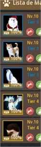 BDO Maehwa 62 / Nova e Guardian 61 - Barraca p2w - Corcel T8 - Black Desert