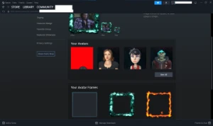 Conta Steam LVL 43 Com Muitos Jogos e Itens Raros
