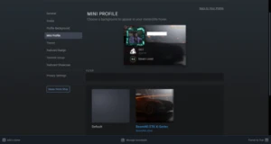 Conta Steam LVL 43 Com Muitos Jogos e Itens Raros