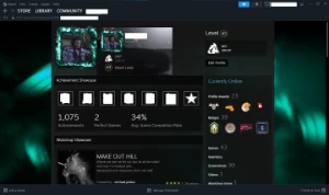 Conta Steam LVL 43 Com Muitos Jogos e Itens Raros