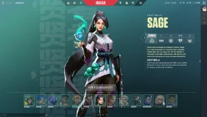 Conta Valorant com todos os agentes, com varias skins