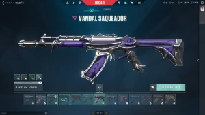 Conta Valorant com todos os agentes, com varias skins