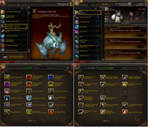 Super Conta: Druid Mage Tower, CMs, Elite Sets, Hero e mais! - Blizzard