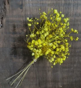 Buque Gypsophila desidratada - Artesanato e Personalizados