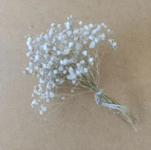 Buque Gypsophila desidratada - Artesanato e Personalizados