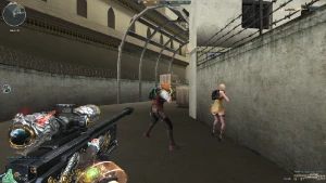 Conta Vip Do Crossfire