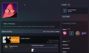 Conta Steam Nível 18 C/ Diversos Jogos + Medalha de 5 anos