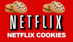 Netflix via Cookies (BR e GRINGO)🍪 - Assinaturas e Premium