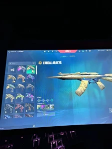 Conta Valorant | Faca E Outras Skins | Gasto R$1250+ | Dono