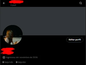 Conta twitter 2016 novembro