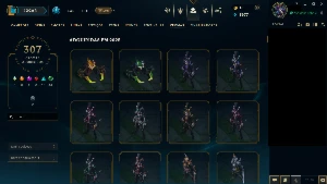 Conta Riot (Principal League of legends) diversos raros LOL