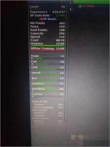 tibia global (solidera)