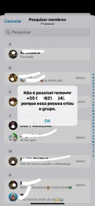 Como Remover Adm Criador Do Grupo Sem Erro - Outros