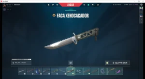 Conta de valorant full