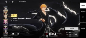 Conta de Bleach Soul Resonance com Ichigo bankai e Byakuya - Others