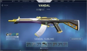 Conta Valorant Muitas Skins (Acompanha conta LOL)