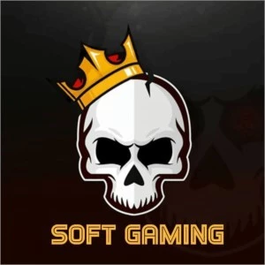 Valorant Logitech Script/ Customizable Sens