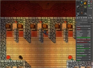Vendo Conta Combo EK 296 + RP 208 + ED 91Pacera Optional-pvp - Tibia
