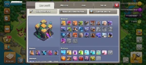 Cv14 - Heróis Muito Fortes - 7649 Gemas - 11 Equip. Épicos - Clash of Clans