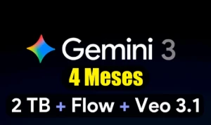 Gemini 3.1 AI Pro + 2TB + Veo 3.1 + Flow | Entrega rápida - Assinaturas e Premium