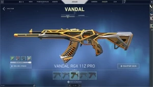 Conta de Valorant IMORTAL / 550 reais gastos