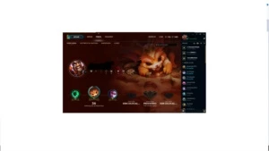 Conta com varios champs e skins - League of Legends LOL