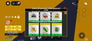 Conta blox fruts muito rara é Barata - Roblox