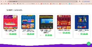 Script Loja Para Produtos Digitais - Dfg - Mercado Pago/Pix - Outros