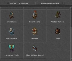 RP 530 BELOBRA - Tibia