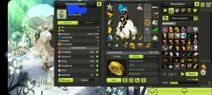 Conta 4Char 200. Iop Com Set Montato Exo Pm Força/Int - Dofus